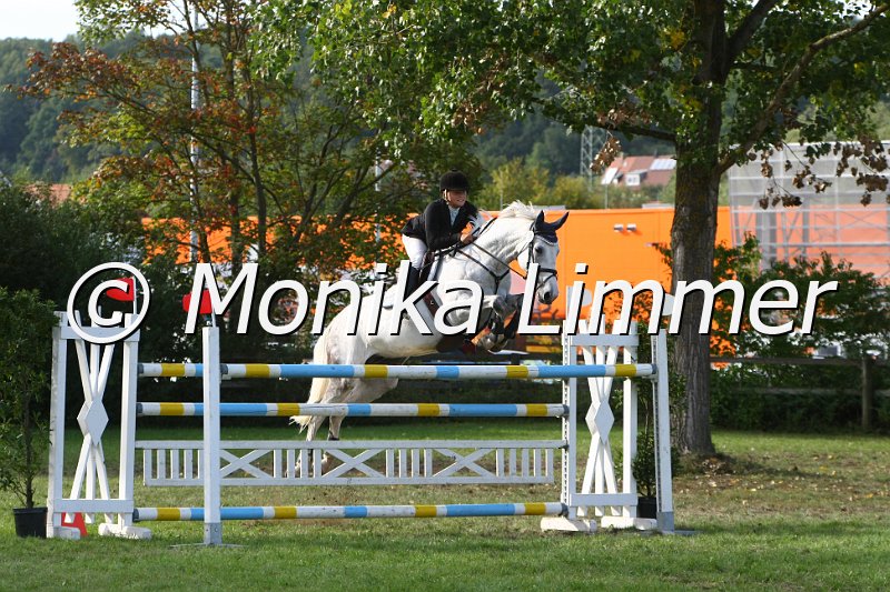 109L0544_Caipi S_Spring S.JPG